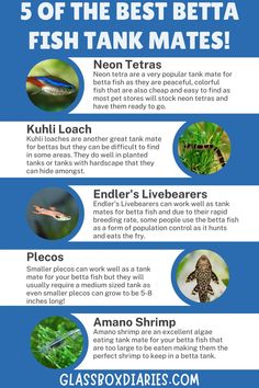 the top ten types of fish that can be seen in this info sheet, which includes information