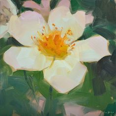 an oil painting of a white flower with green leaves on the bottom and yellow center