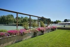 a tennis court with flowers in the foreground and a fence on the other side