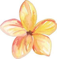 a watercolor painting of a flower on a white background