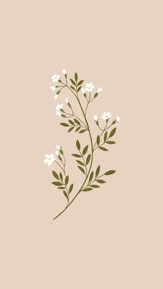 some white flowers on a pink background