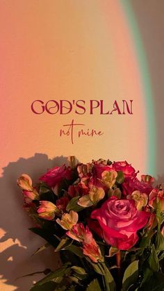 a vase filled with lots of pink flowers next to a rainbow colored wall that says god's plan not mine