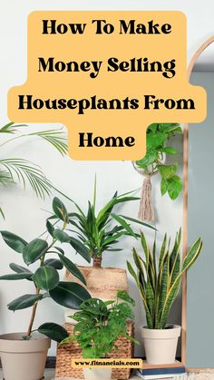 houseplants and plants on a table with the words how to make money selling houseplants from home