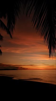 the sun is setting over the ocean with palm trees