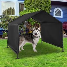 a dog is standing in the grass next to a large black tent with its front door open