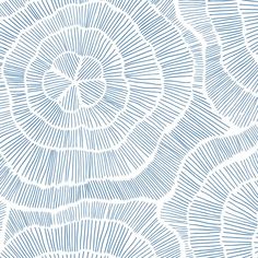 an abstract blue and white background with wavy lines in the shape of a flower ornament