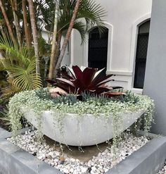 a large planter filled with lots of plants next to a white building and palm trees