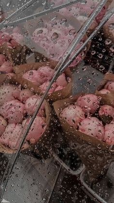 a bunch of food that is in a basket under an umbrella with water droplets on it