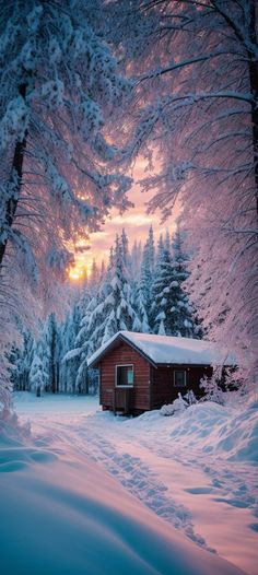 a cabin in the middle of a snowy forest with trees covered in snow and sun setting behind it