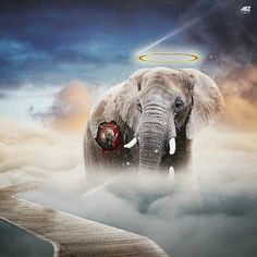 an elephant standing in the clouds with a halo above it's head and its trunk