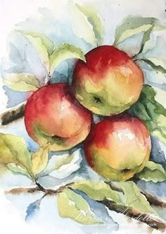 Fruit Art Drawings, Watercolour Challenge, Canvas For Beginners, Watercolor Paintings For Beginners, Watercolor Fruit, Watercolor Pictures, Diy Watercolor Painting, Watercolor Flower Art, Watercolor Painting Techniques