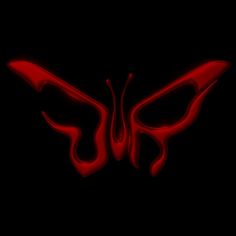 a red butterfly with black wings on it's back and its tail is glowing in the dark