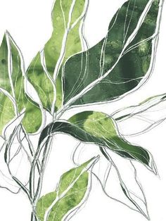 a drawing of green leaves on a white background