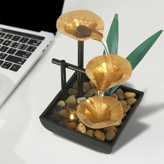 PRICES MAY VARY. 【Lotus Leaf Tabletop Fountains】Create a soothing and tranquil atmosphere in your home or office with our Indoor Lotus Leaf tabletop fountains. The gentle flow of water instantly relaxes and adds a sense of peace to your environment. 【Easy to Use】Our waterfall fountain features a built-in silent submersible pump that automatically circulates water. Simply plug the corded power supply into an outlet to turn it on, and use the off switch to turn it off. Before powering on, we recom Homemade Water Fountains, Desktop Fountain, Waterfall Decoration, Indoor Tabletop Water Fountain, Fountains Indoor, Indoor Tabletop Fountains, Zen Office, Table Fountain, Waterfall House