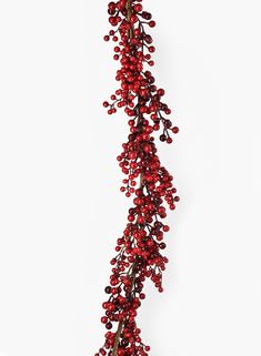 red berries are hanging from a branch on a white wall in front of a vase