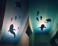 the silhouettes of sea animals are projected on the ceiling