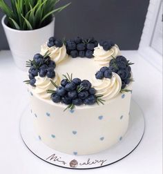 a white cake with blueberries and cream frosting on a plate next to a potted plant