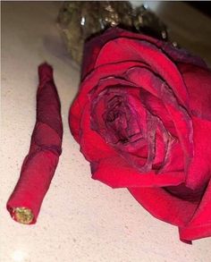 a red rose sitting on top of a white counter