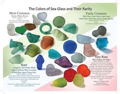 the colors of sea glass and their nearby companions are shown in this brochure