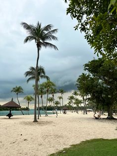 a sandy beach with palm trees and people sitting on the sand under a cloudy sky