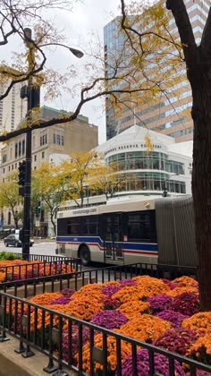 a bus driving down a street next to tall buildings and flowers in the foreground