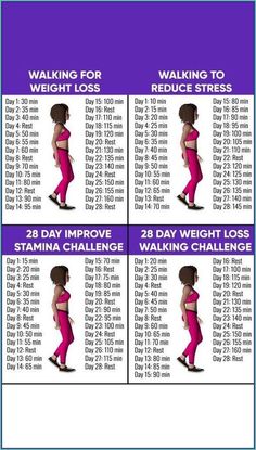 Walking Plan, Stubborn Belly Fat, Walking, How To Plan