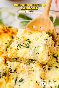 chicken alfredo lasagna with cheese and spinach