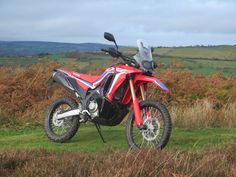 a red and blue motorcycle parked on top of a lush green field next to tall grass