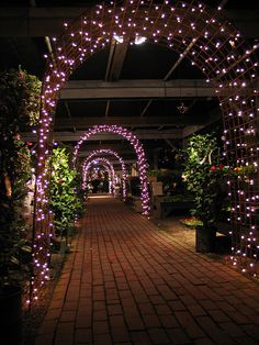 the walkway is covered in purple lights and potted plants on either side of it