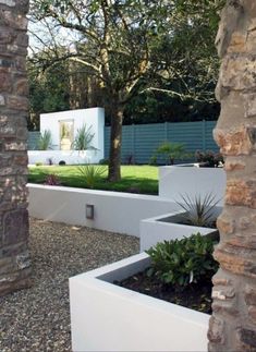 an outdoor garden with white planters and trees