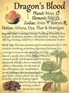 Tarot Significado, Magickal Herbs, Magic Spell Book, Grimoire Book, Magic Herbs, Magical Herbs