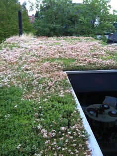 a green roof with flowers growing on it and an outdoor dining table in the foreground