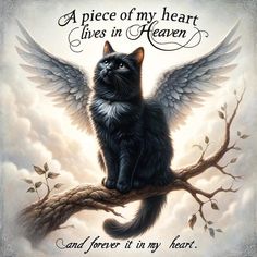 a black cat sitting on top of a tree branch with an angel's wing