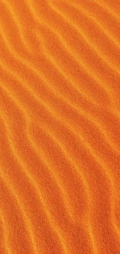 an orange sand dune in the desert