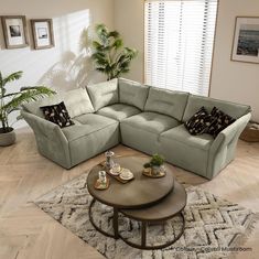 a living room with a sectional couch and coffee table in the middle, surrounded by potted plants