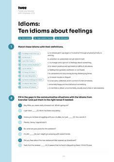 the back cover of an article about idioms and their uses in web design