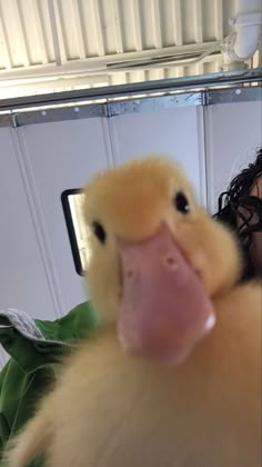 a woman holding a duck in front of a mirror with her face close to the camera