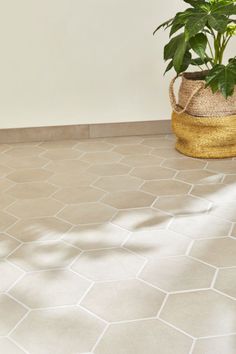 a potted plant sitting on top of a white tiled floor next to a wall