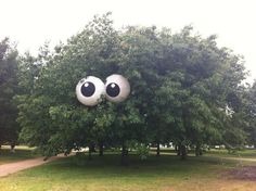 an inflatable eyeball sitting on top of a tree