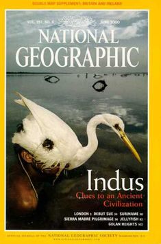 the front cover of national geographic magazine, featuring an image of a white crane