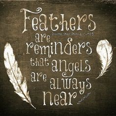 feathers are reminderers that angels are always near on a blackboard with chalk writing