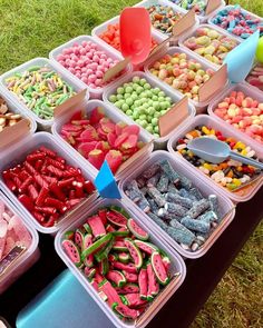 a table topped with trays filled with lots of different types of candies on top of green grass