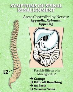 Cramps, Difficult Breathing, Varicose veins? Your L2 might be to blame! ‪#‎Chiropractic‬ ‪#‎nervoussystem‬ ‪#‎loveyourspine‬ ‪#‎l2vertebrae‬ ‪#‎Cramps‬ ‪#‎difficultbreathing‬ ‪#‎varicoseveins‬ ‪#‎acidosis‬ ‪#‎wecanhelp‬ ‪#‎happythursday‬ Inflammation Diet