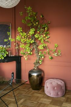 a bonsai tree in a vase next to a pink chair and ottoman on a wooden floor