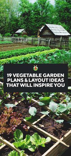 a garden with lots of plants in it and the words, 19 vegetable garden plans & layout ideas that will inspire you