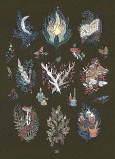 an illustration of many different types of plants and animals on a black background with text