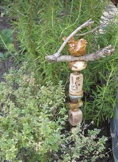 a bird sitting on top of a tree branch next to some bushes and trees in the background