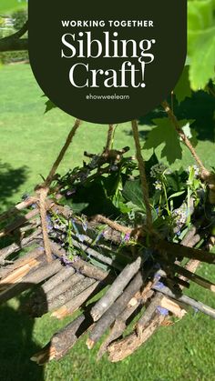 a wooden swing with the words working together sibling craft on it in front of green grass