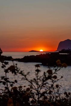 the sun is setting over an island with flowers in front of it and some water