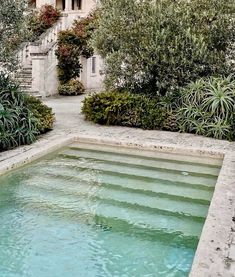 an outdoor swimming pool surrounded by greenery and trees with stairs leading up to it